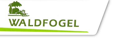 logo waldfogel