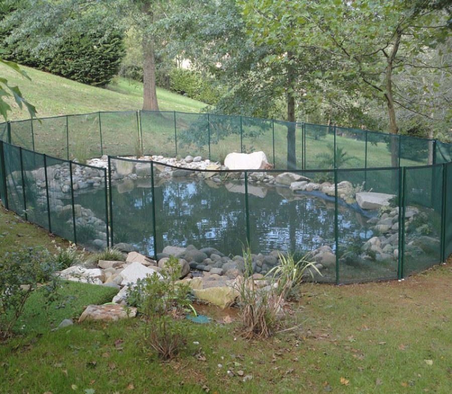 clôture bassin